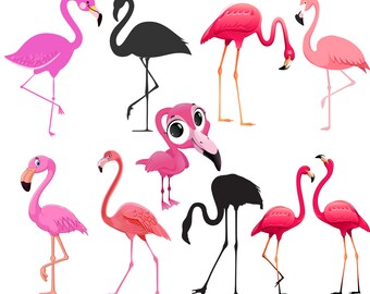 Flamingo png bundle, flamingo figure, flamingo clipart set, flamingo package, instant download