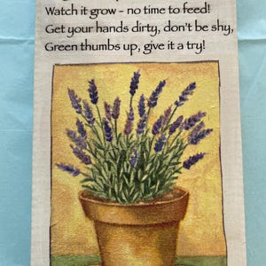Handmade Birthday card and 5 packets of seeds in a little box, lavender in a pot, gift for gardener, nature loving person