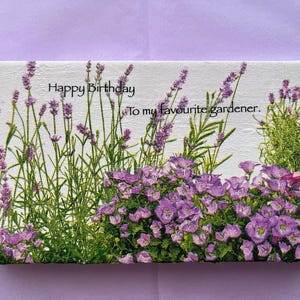Handmade Birthday card and 5 packets of seeds in one package, little box, gift for gardener, nature loving person