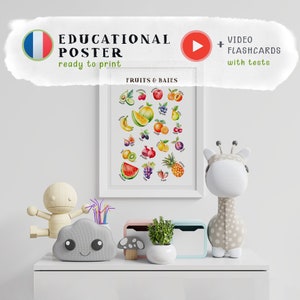 以下が含まれることがあります： フランス語で「FRUITS & BAIES」と書かれた、カラフルなフルーツとベリーのイラストが描かれた教育ポスター。ポスターは額装され、白い棚に他の装飾品と一緒に飾られています。