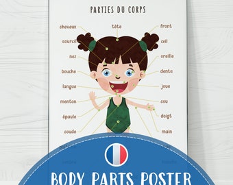 Kids Body Parts Poster, French Colorful Detailed Educational Wall Human Chart, Easy Home Learning Preschool Decor Digital Download Wall Art