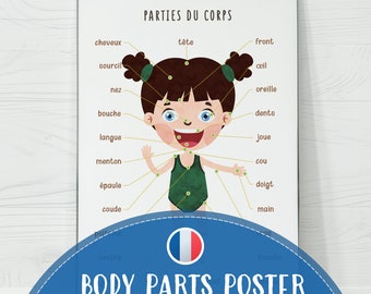 Puede incluir: Un póster ilustrado colorido en francés, que muestra a una niña con cabello castaño y un traje de baño verde, con etiquetas que apuntan a diferentes partes del cuerpo. El título del póster es "Parties du Corps" y el texto en la parte inferior dice "Body Parts Poster Téléchargement Numérique".