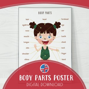Body Parts Poster Kids | Educational Human Body Chart PDF | Preschool Wall Art
