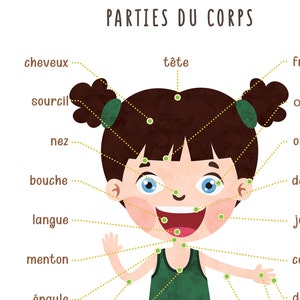 Puede incluir: Una ilustraci&oacute;n de la cara de una ni&ntilde;a con etiquetas para diferentes partes del cuerpo en franc&eacute;s. Las etiquetas incluyen "cheveux", "sourcil", "t&ecirc;te", "nez", "bouche", "langue", "menton", "&eacute;paule", "oreille", "doigt", "bras", "cou", "jambes", "pieds", y "front".