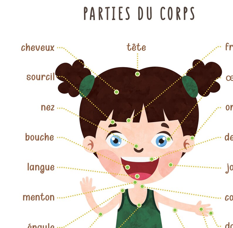 Puede incluir: Una ilustraci&oacute;n de la cara de una ni&ntilde;a con etiquetas para diferentes partes del cuerpo en franc&eacute;s. Las etiquetas incluyen "cheveux", "sourcil", "t&ecirc;te", "nez", "bouche", "langue", "menton", "&eacute;paule", "oreille", "doigt", "bras", "cou", "jambes", "pieds", y "front".