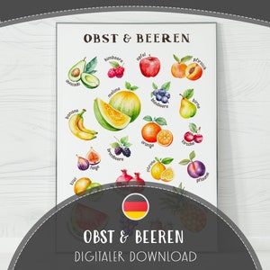 Póster educativo de frutas (PDF), impresión mural de frutas en acuarela, bonita herramienta imprimible para aprender alemán en casa, tabla de descarga digital de alta calidad.