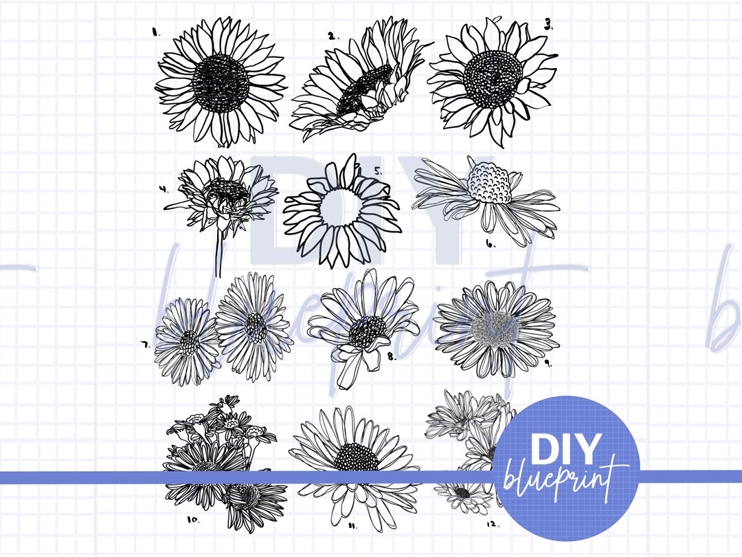 12 Sunflower Brushes for Procreate Stamps Etsy