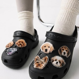 May include: A pair of black clogs featuring multiple dog-themed charms attached to the top surface. The charms are shaped like various dog breeds, including a golden retriever, a beagle, a shih tzu, a yorkshire terrier, and other canine portraits.