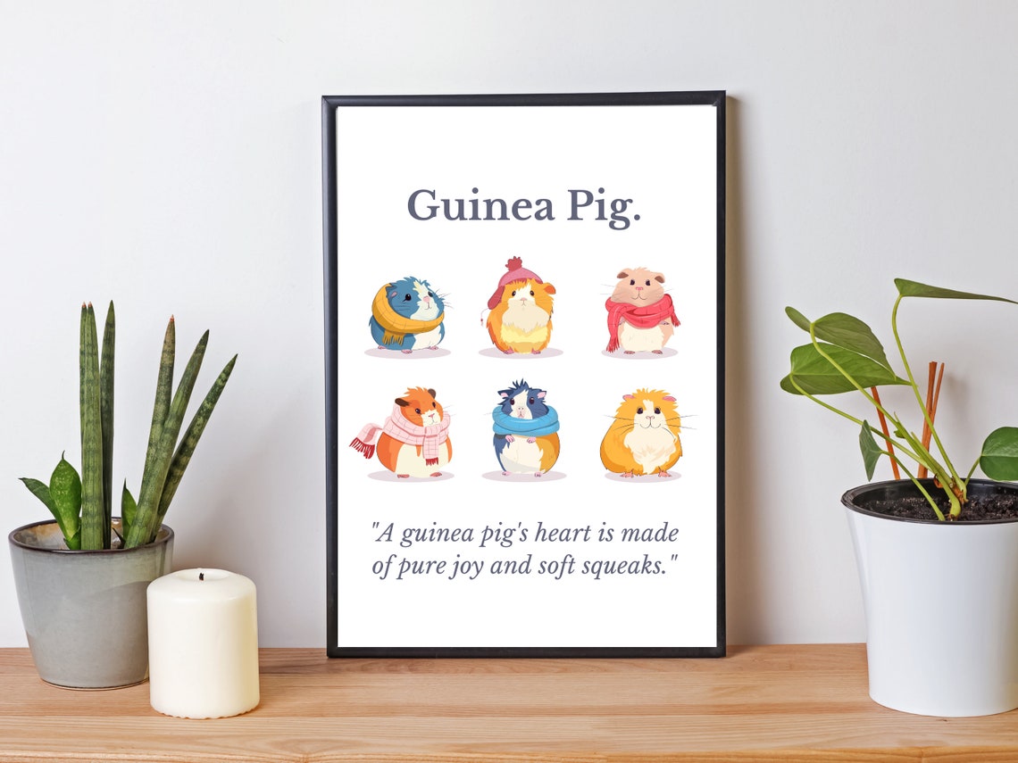Photo inspiration: Visual Reference: Guinea Pig Picture Guinea Pig Gift Guinea Pig Present