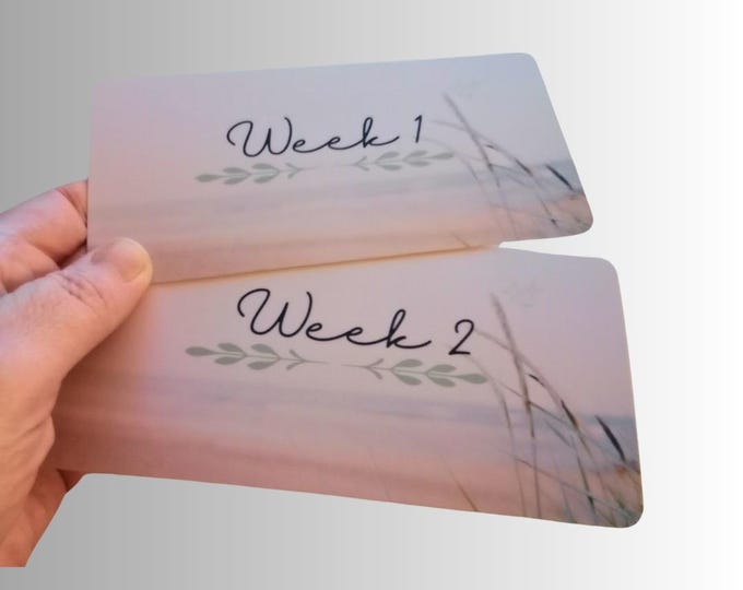 Cash saving binder insert cards for cash stuffing binder a6 size – inserts for monthly cash stuffing binder. (weeks 1-5 and back to bank)