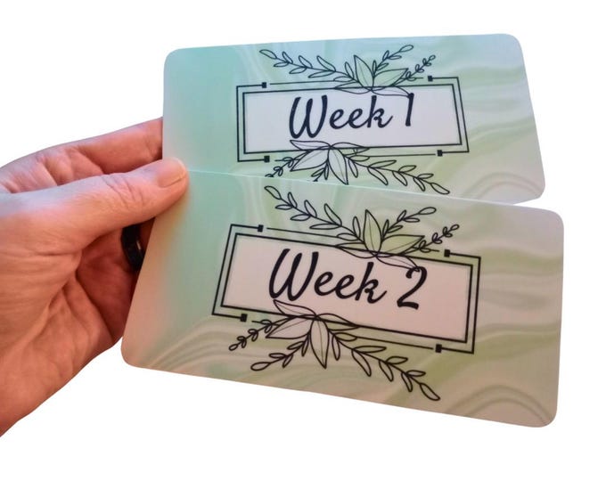 Binder insert cards for cash stuffing binder a6 size – inserts for monthly cash stuffing binder. (weeks 1-5 and back to bank) green