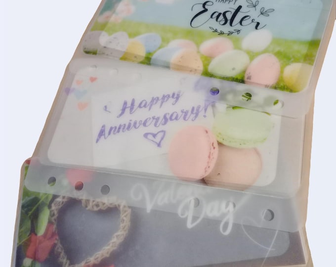 Custom order for sarah - 16 custom trackers with vellum envelopes, cash placeholders 100 and 200, mini saver desk flip and 8 mini challenges