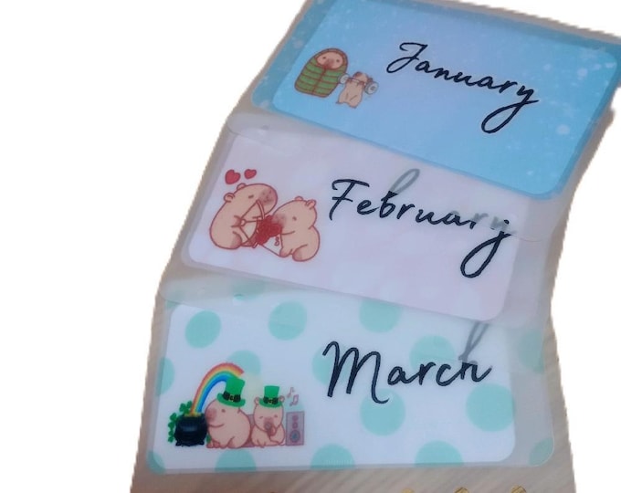 12 month annual saver set capybara themed. save 1380 over 12 months. matching vellums for each tracker card in bright vibrant designs.