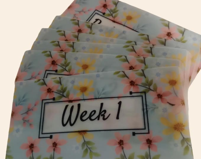 Vellum envelopes for cash stuffing binder a6 size – vellum envelopes for cash stuffing binder. (weeks 1-5 and back to bank) spring flowers