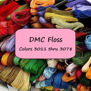May include: A close-up of a variety of DMC floss colors, ranging from bright reds and oranges to deep blues and greens. The floss is arranged in a pile, with the label "DMC Floss Colors 3011 thru 3078" visible in the center.