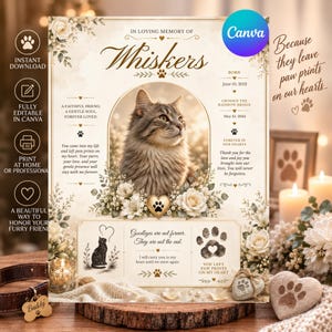 May include: A memorial poster for a cat named Whiskers, featuring a central portrait of a tabby cat surrounded by white roses, paw print icons, and text including dates of birth and passing, plus sentimental quotes about a beloved pet.