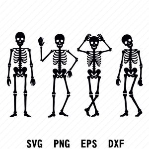 Könnte beinhalten: Schwarz-weiße Illustration von vier stilisierten Skeletten in verschiedenen Posen. Eines steht aufrecht, ein anderes winkt, ein drittes hält sich den Kopf und das letzte lehnt sich zur Seite. Das Bild enthält die Dateityp-Abkürzungen: SVG, PNG, EPS und DXF.