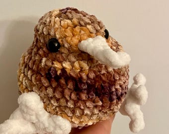 Handmade Crochet Kiwi Bird Plushie | Amigurumi Desk Decor
