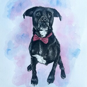 Custom Pet Portrait From Photo Dog Portrait From Photo Hand Painted Custom Dog Portrait Custom Cat Photo