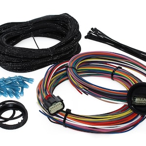 BWH Automotive Bulkhead Wiring Harness 12volt