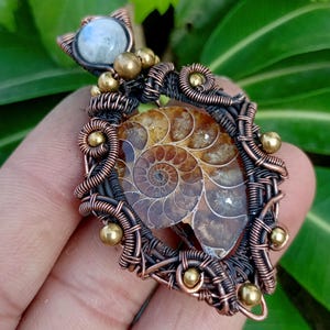 Ammonite Fossil Pendant Copper Wire Wrapped Pendant Ammonite Fossil Jewelry Handmade Copper Finish Pendant Gift Jewelry Ammonite Jewelry
