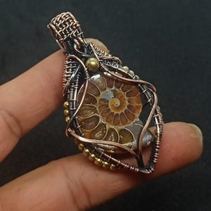 Copper Wire Wrapped Ammonite Fossil Pendant Handmade Wire Jewelry Copper Jewelry New Year Gift Pendant Ammonite Pendant Jewelry Gift For Her