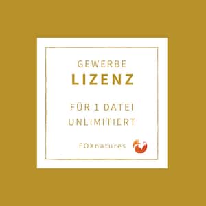 Gewerbelizenz für 1 Datei deiner Wahl unlimitiert, Laserdatei