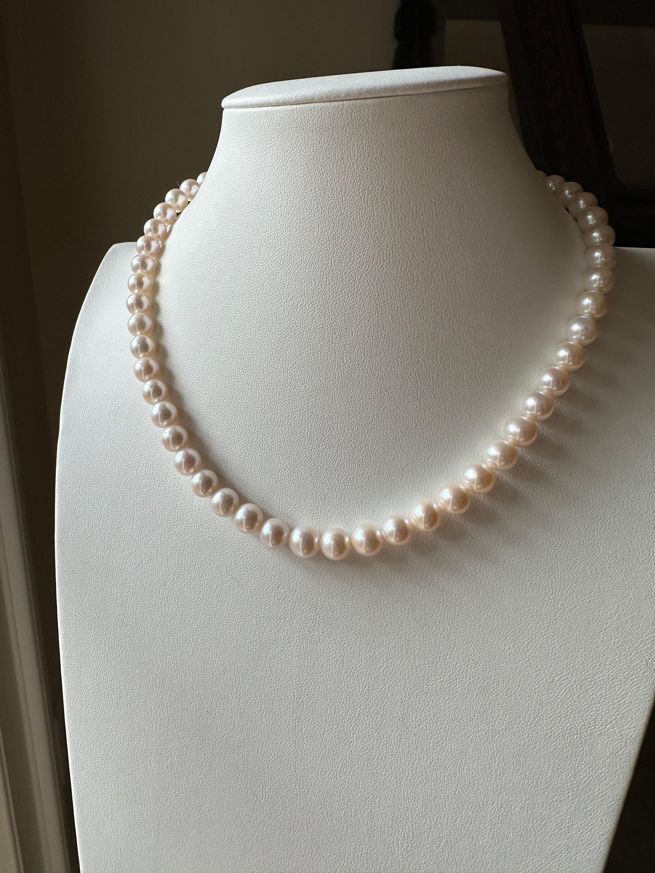 Collar De Concha De Acero Inoxidable Para Mujeres, Gargantilla De Oro
