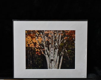 Fall Bird house