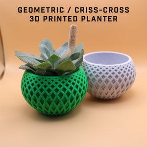 May include: Two 3D printed geometric planters, one green and one gray, with a criss-cross pattern. The green planter has a succulent plant inside and a wooden stick with the word "BAMBINO" written on it.
