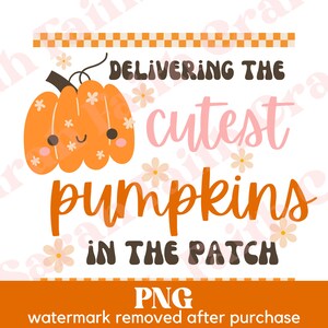 Levert de schattigste pompoenen in de patch PNG, Halloween verpleegster ontwerp, Halloween clip art, overhemd sweatshirt png ontwerp, griezelig seizoen png