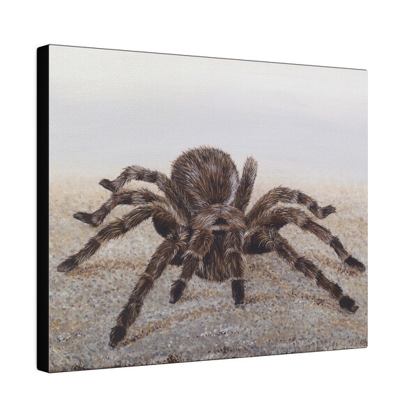 Tarantula - Matte Canvas, Stretched, 0.75"