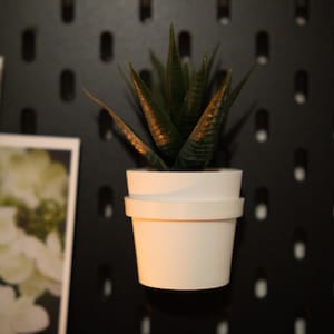 May include: A small, white, cylindrical planter with a faux succulent plant. The plant has dark green, pointed leaves. The planter is mounted on a black pegboard with oval-shaped holes. A framed picture is visible in the background.