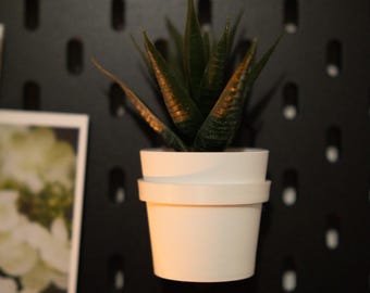 IKEA SKADIS Plant Pot Holder – Set of 3 Pegboard Succulent Display