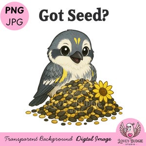Hai dei semi? Parula di Mirto PNG trasparente JPG / Divertente clip art che dà da mangiare agli uccelli per birdwatcher, sublimazione, carta da parati, download digitale