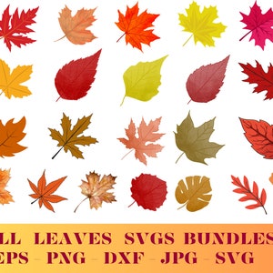 Herbst Blätter SVG, Herbst svg, Herbst Blatt svg Bundle, Herbst Png, Dxf, Clipart, Cut Dateien für Cricut, Glowforge Dateien, Silhouette