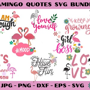 Paquete de citas de flamencos, diseños de archivos digitales Bird SVG