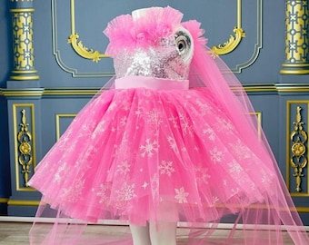 Princess Dress Elsa Costume Size Elsa Dress Disney Princess