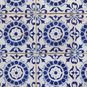 Pu&ograve; includere: Un insieme di piastrelle in ceramica blu e bianca con un motivo floreale. Ogni piastrella presenta la scritta "Fuck Trump" in un motivo ripetuto attorno al disegno centrale. Le piastrelle sono disposte a griglia.
