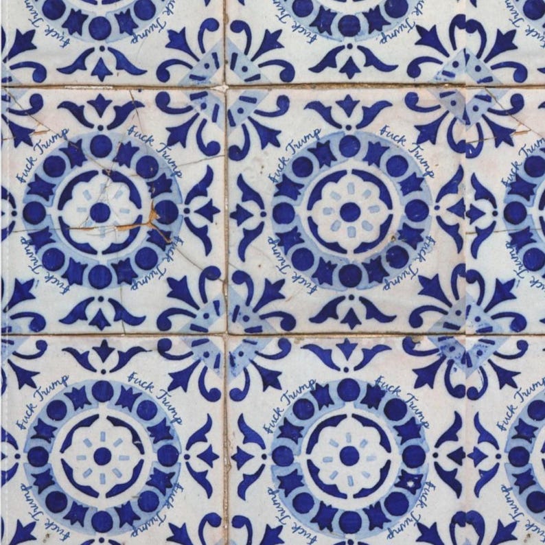 Pu&ograve; includere: Un insieme di piastrelle in ceramica blu e bianca con un motivo floreale. Ogni piastrella presenta la scritta "Fuck Trump" in un motivo ripetuto attorno al disegno centrale. Le piastrelle sono disposte a griglia.