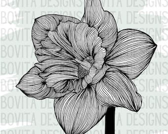 March Birth Flower: Daffodil Wall Art