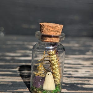 Ghost in a bottle, mini ghost, pet ghost, halloween terrarium