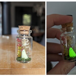 Ghost in a bottle, mini ghost, pet ghost, halloween terrarium