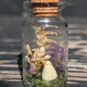 Ghost in a bottle, mini ghost, pet ghost, halloween terrarium