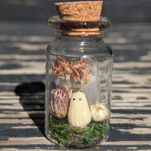 Ghost in a bottle, mini ghost, pet ghost, halloween terrarium