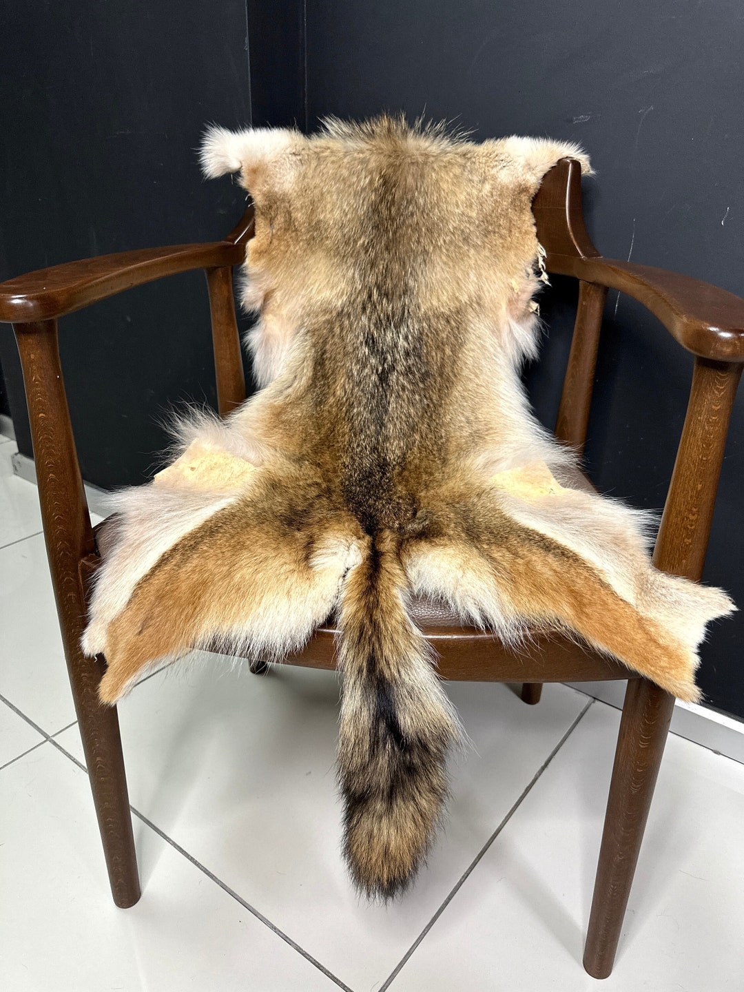 Real Coyote Pelt Fur Craft Coyote Fur Pelt DIY Crafts Pelt Etsy