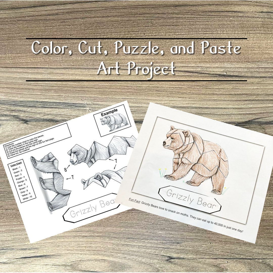 Printable Grizzly Bear Art Project - Etsy