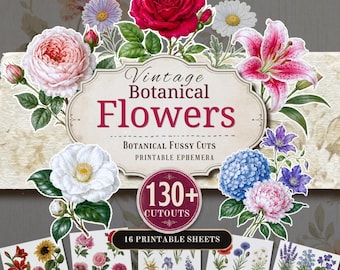 May include: A digital collection of vintage botanical flowers featuring a central label with the text Vintage Botanical Flowers, Botanical Fussy Cuts, Printable Ephemera, 130+ Cutouts, and 16 Printable Sheets, surrounded by illustrations of roses, lilies, and hydrangeas.