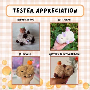 May include: An image with the text "TESTER APPRECIATION" features four crocheted capybaras, each with a small vegetable on its back. The capybaras are in various colors, including brown, white, and tan. The background has a checkered pattern with orange fruit.