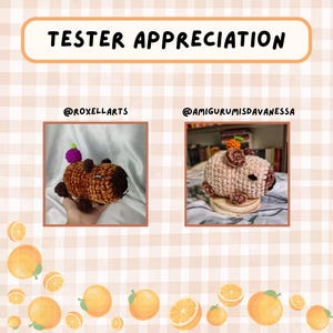 May include: An image with the text "TESTER APPRECIATION" in a banner. Two crocheted animal figures are displayed, one brown and one beige, with the creators' usernames below. The background has a checkered pattern with orange fruit illustrations.